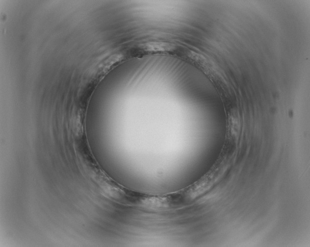 X0000088590422200706081332