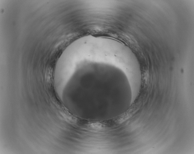 X0000088590423200706081332