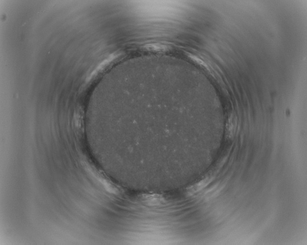 X0000088590424200706081332