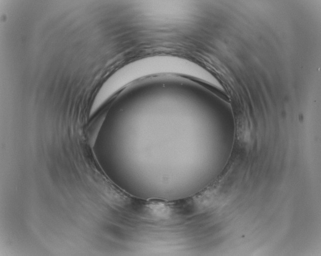 X0000088590425200706081332