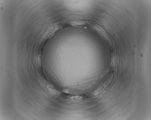 X0000088590426200706081332