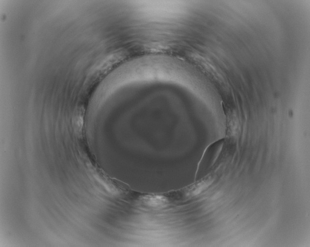 X0000088590427200706081332