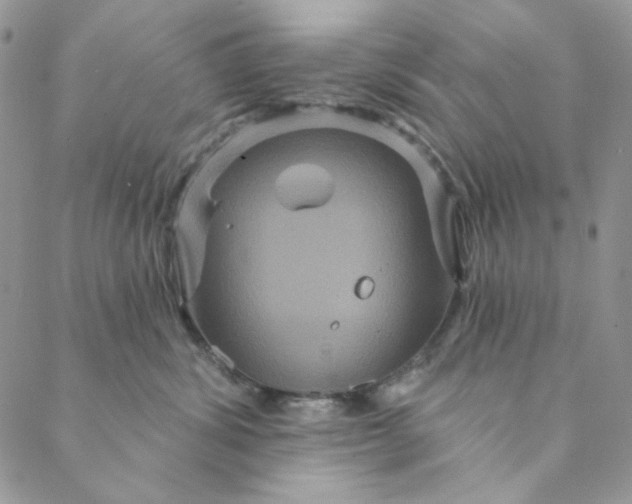 X0000088590428200706081332