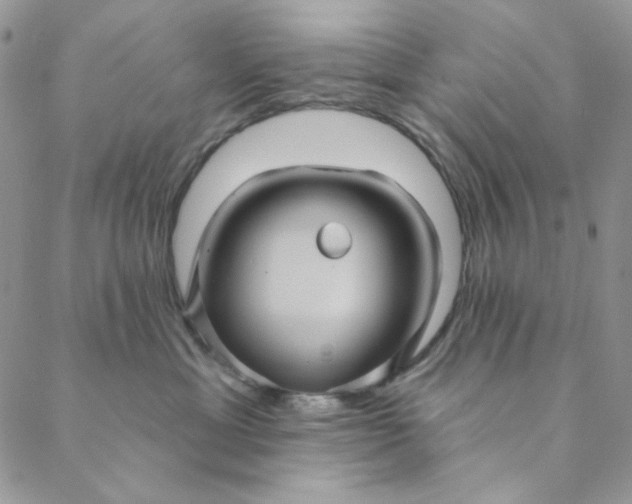 X0000088590429200706081332