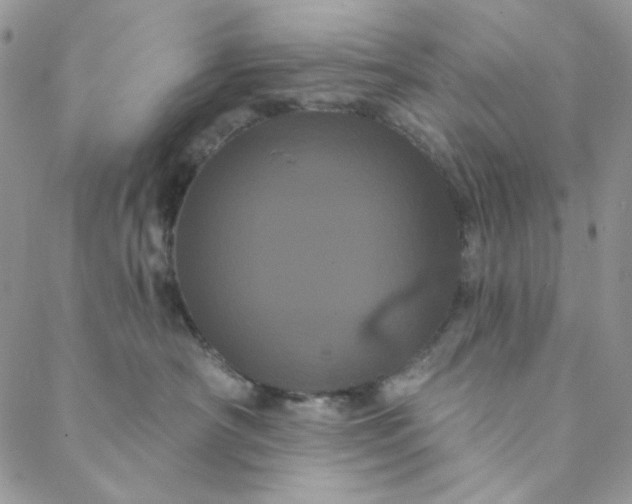 X0000088590430200706081332