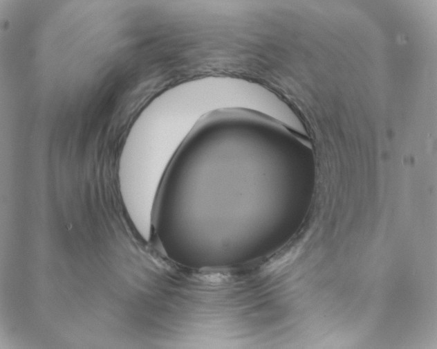 X0000088590432200706081332