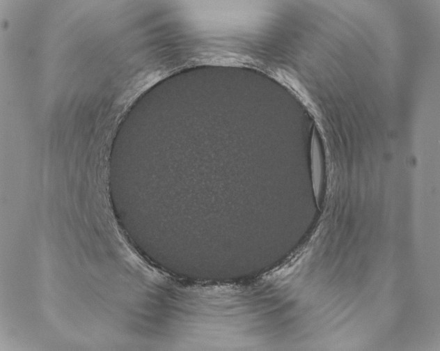 X0000088590433200706081331