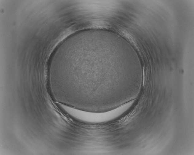 X0000088590435200706081332