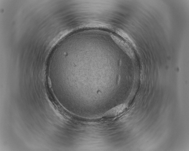 X0000088590436200706081332