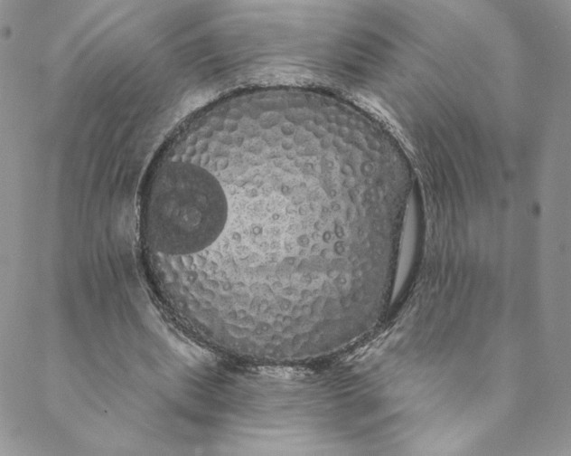 X0000088590439200706081332