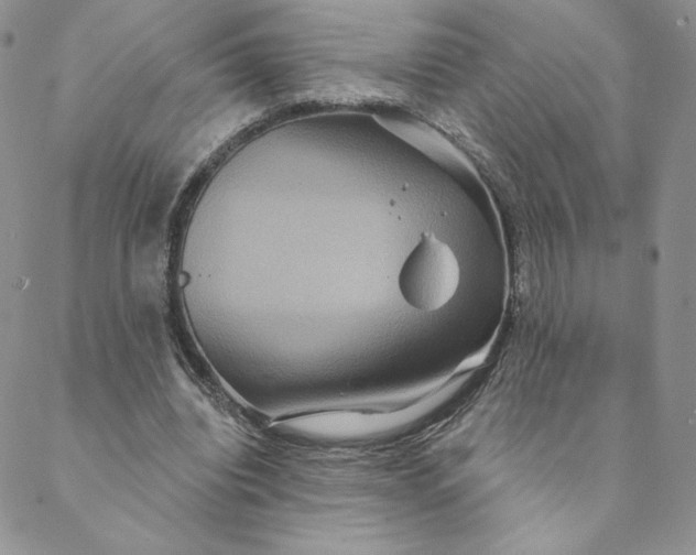 X0000088590440200706081332