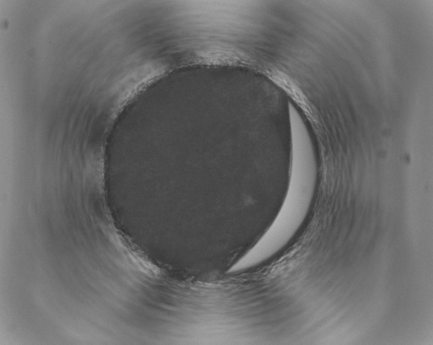 X0000088590442200706081332