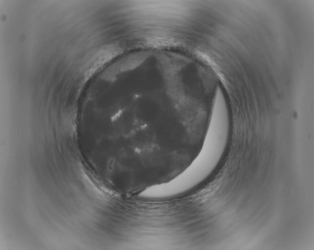 X0000088590443200706081332