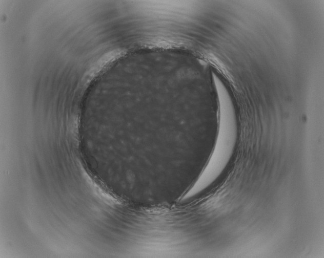 X0000088590444200706081332