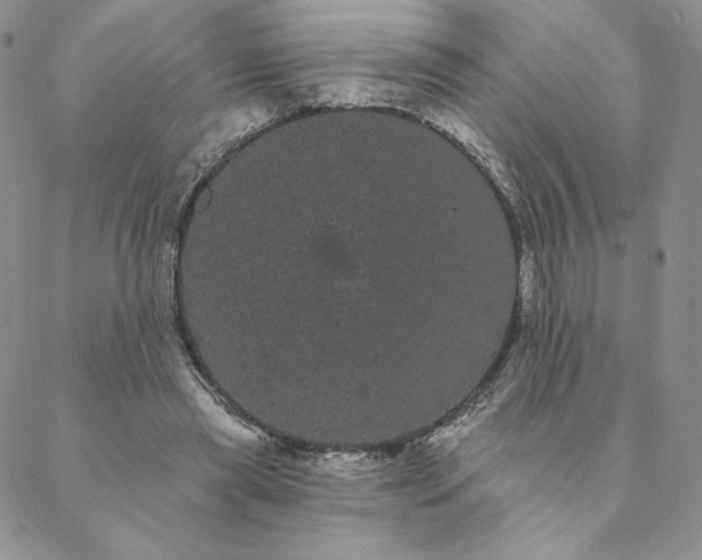 X0000088590445200706081332