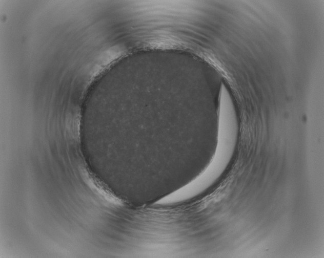 X0000088590446200706081332