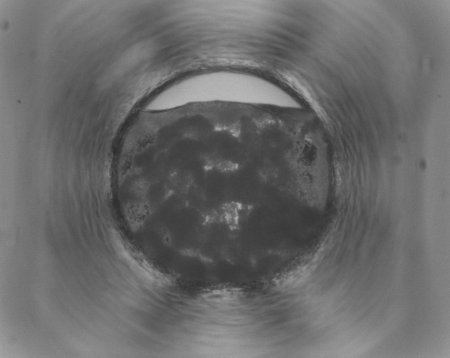 X0000088590447200706081332