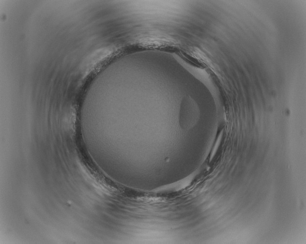 X0000088590448200706081332