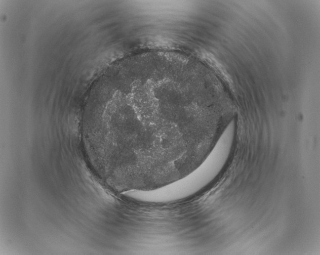 X0000088590449200706081332