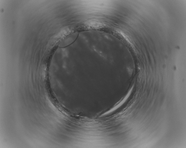 X0000088590451200706081332