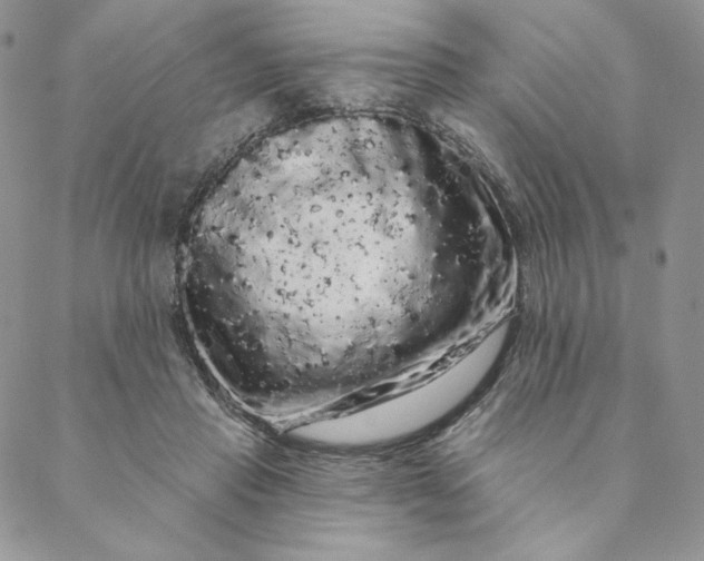 X0000088590453200706081332