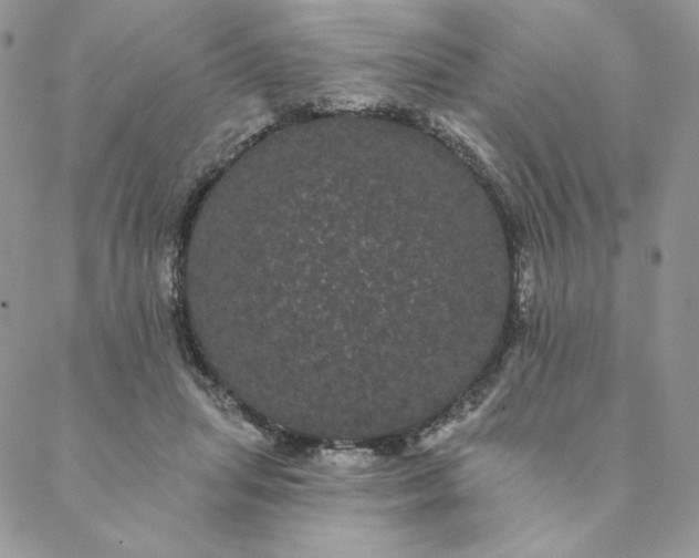 X0000088590455200706081332