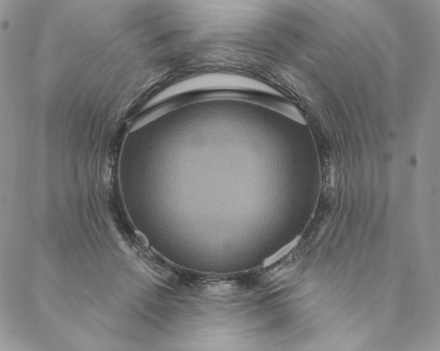 X0000088590456200706081332