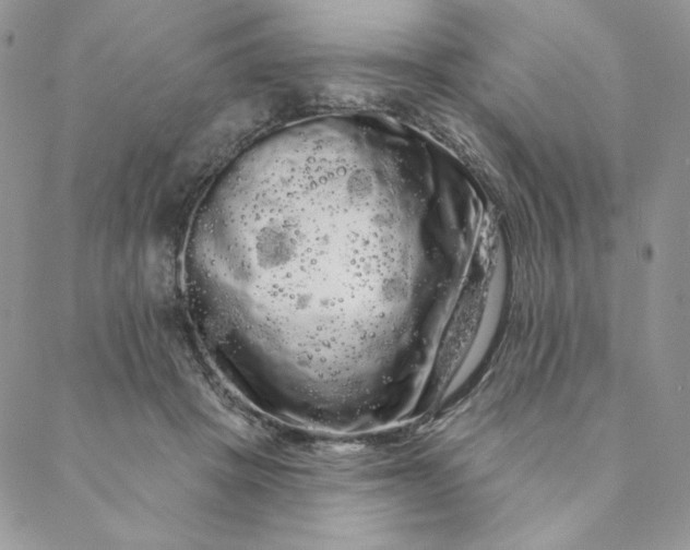 X0000088590457200706081332