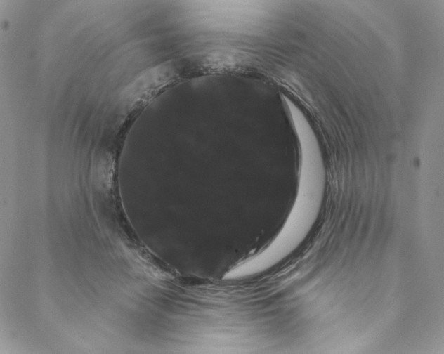 X0000088590458200706081332