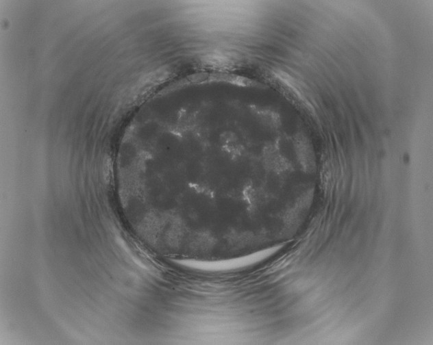 X0000088590459200706081332