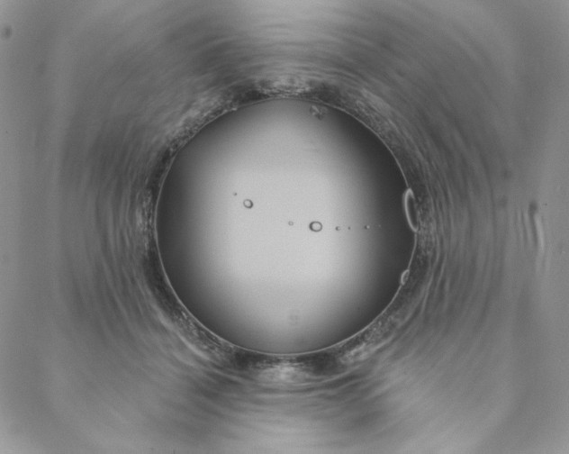 X0000088590460200706081332