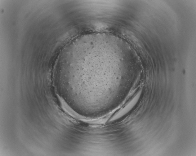 X0000088590461200706081332