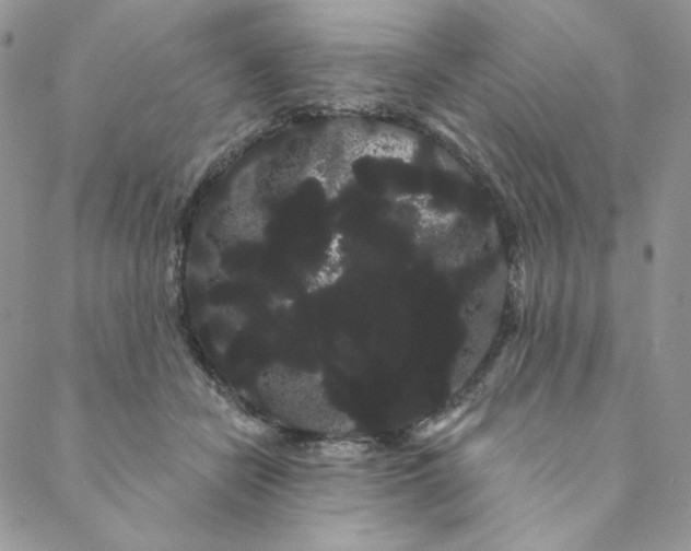 X0000088590462200706081332