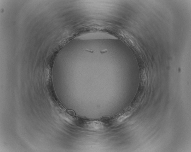 X0000088590463200706081332