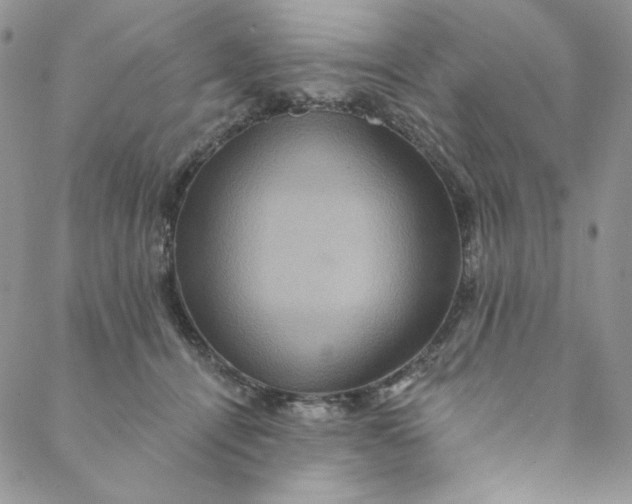 X0000088590464200706081332