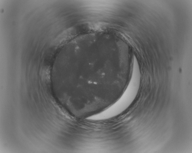 X0000088590466200706081332