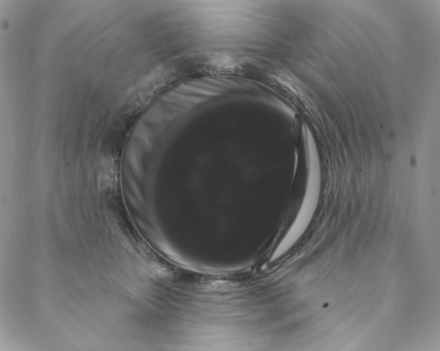 X0000088590467200706081332