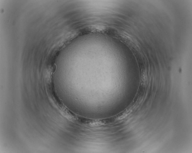 X0000088590468200706081332