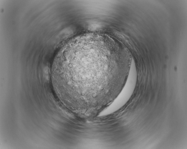 X0000088590470200706081332