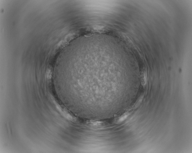 X0000088590472200706081332