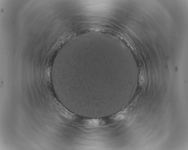 X0000088590473200706081332