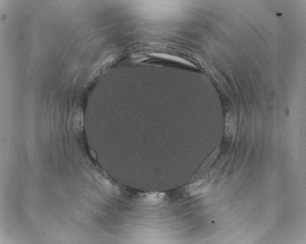 X0000088590474200706081332