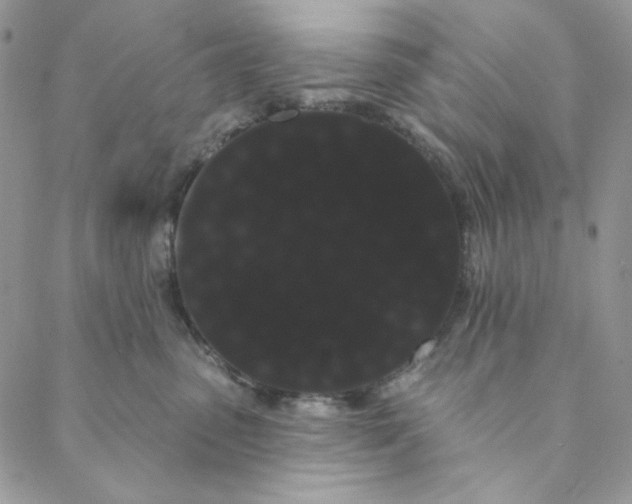 X0000088590475200706081332