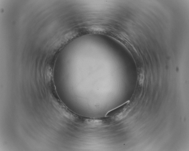 X0000088590476200706081332