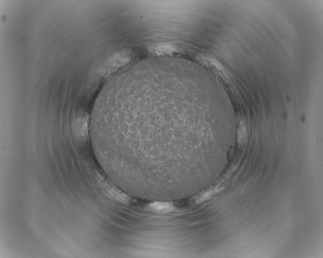 X0000088590477200706081332