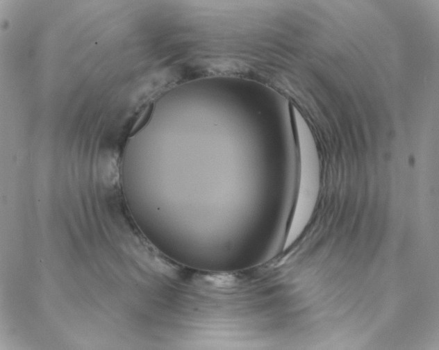 X0000088590478200706081332