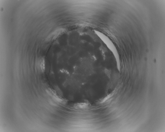 X0000088590479200706081332