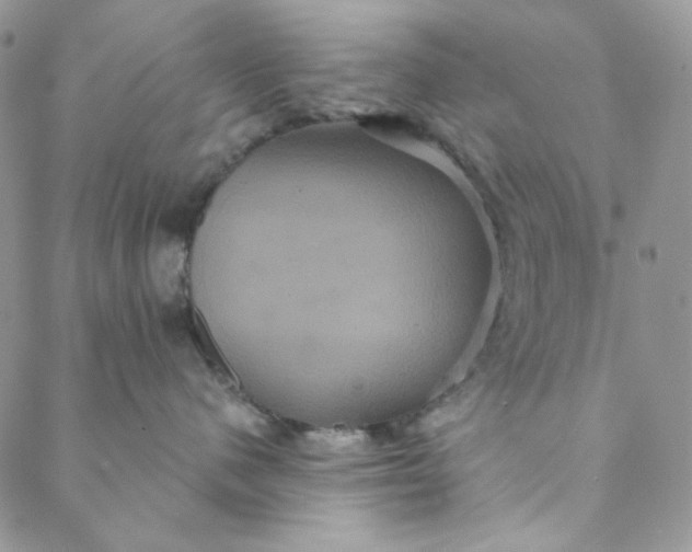 X0000088590480200706081332