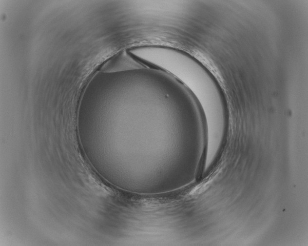 X0000088590481200706081331