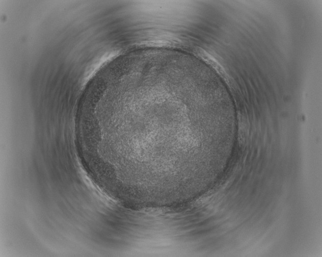 X0000088590482200706081331